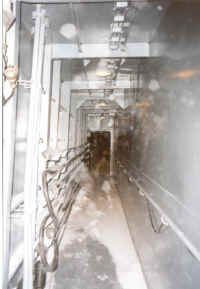 Schnee_whv2.jpg (74048 Byte)