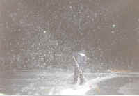 Schnee_whv.jpg (80211 Byte)