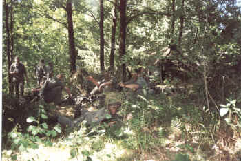 msu4.jpg (222945 Byte)