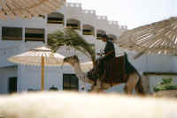 aegypten_03.jpg (46223 Byte)