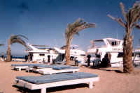 aegypten_05.jpg (55675 Byte)