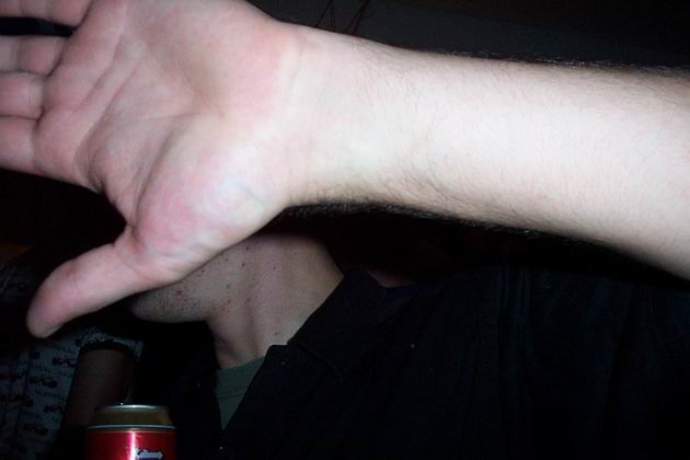 Party2_0417.JPG