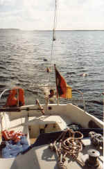 schwimmen.jpg (75643 Byte)