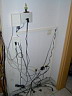 20040228_01.JPG