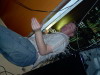 20040228_04.JPG