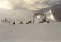 4Raupen_Hang.jpg (42811 Byte)